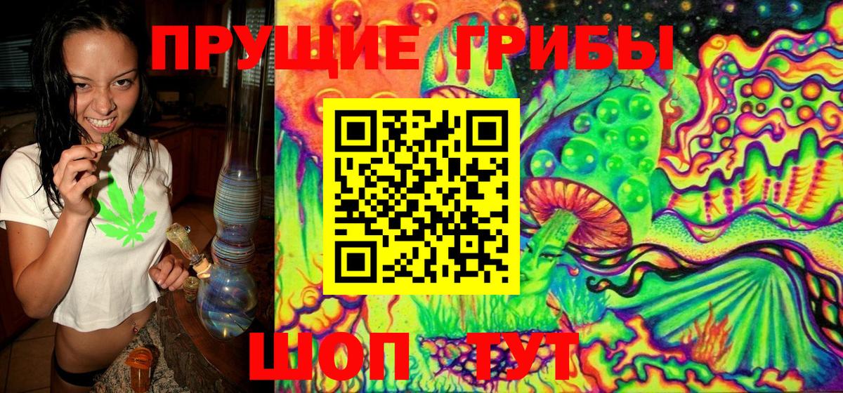 Сланцы  Псилоцибиновые грибы Psilocybine cubensis  Вход с VPN 