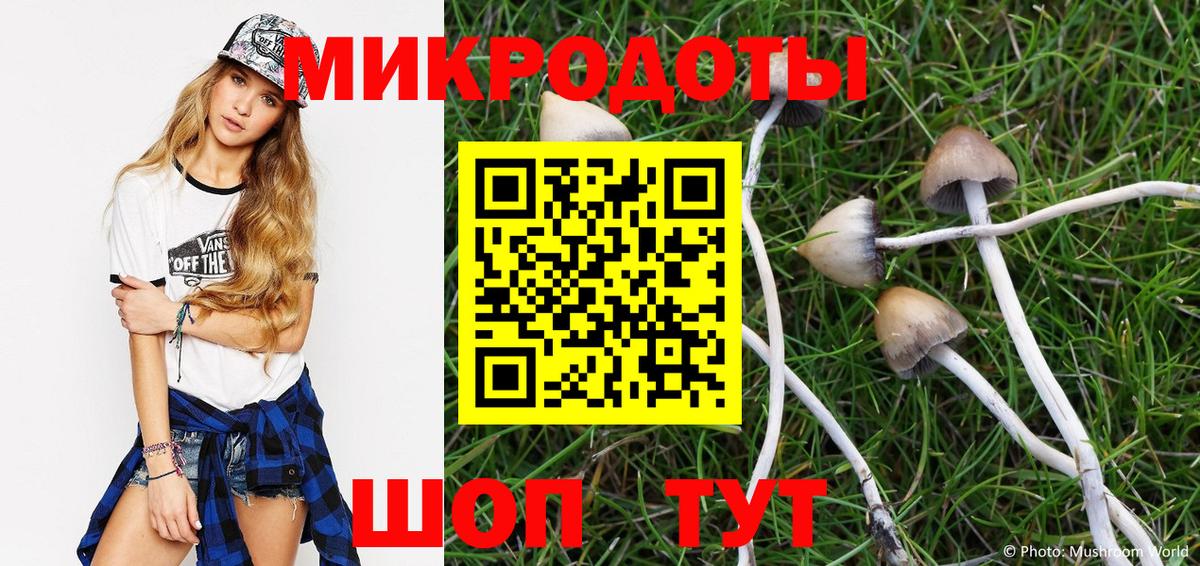 Галлюциногенные грибы ЛСД Сланцы