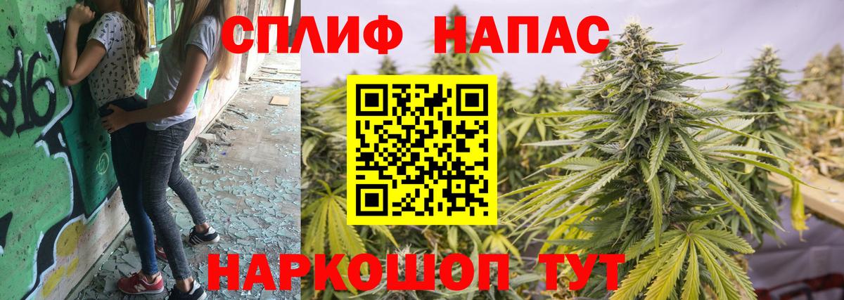 Конопля Amnesia Сланцы